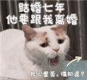 结婚七年他要跟我离婚by