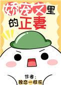 娇宠文里的正妻晋江文学城