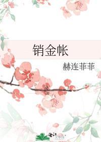 销金帐子