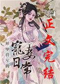 解甲将军的宠妻日常格格党