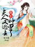 夫人又跑了