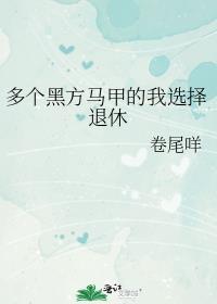 多个黑方马甲的我选择退休免费阅读