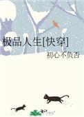 极品的人生快穿