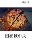 困在城中央 希夷免费阅读