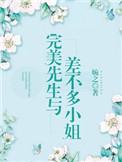 完美先生与差不多小姐电视剧免费