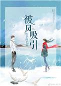 被风吸引简介