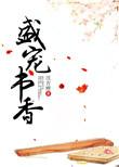 盛宠书香大哥结局