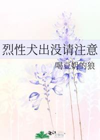 念念不忘的你全文阅读