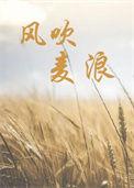 风吹麦浪盛景如画
