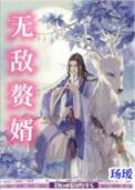赘婿无敌