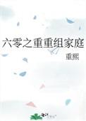 六零之重重组家庭全文阅读
