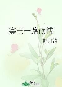 寡王一路硕博什么意思