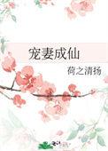 宠妻成仙全文免费阅读
