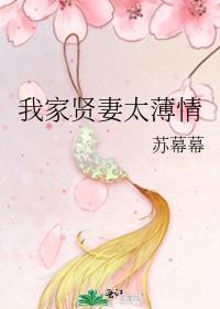 我家贤妻太薄情苏幕幕晋江