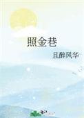 照金巷百度