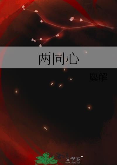 两同心之傅言止全集