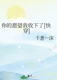 你的愿望我收下了快穿免费阅读