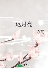 迟月亮全文免费阅读