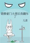 错撩下册