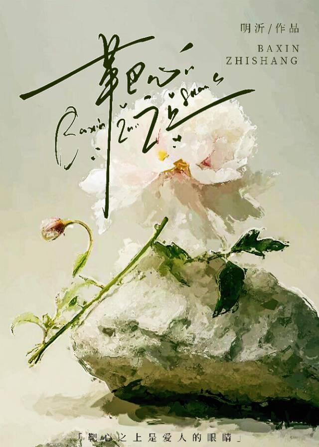 靶心图片大全