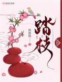 踏枝TXT百度