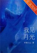 我见月光 番外
