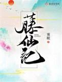 藤仙记百度txt