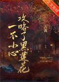 一不小心攻略了黑莲花免费阅读