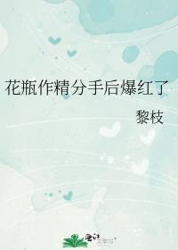 花瓶cp