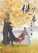 揽芳华讲了什么