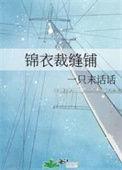 锦衣裁缝铺笔趣阁