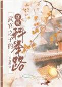 武官子的科举青云路讲的什么