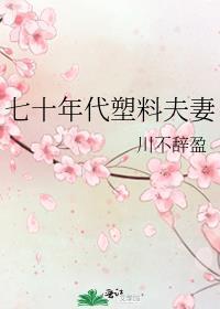 七十年代塑料夫妻免费阅读