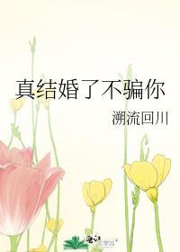真结婚了不骗你TXT