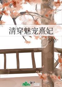 清穿魅宠熹妃婉柔TXT