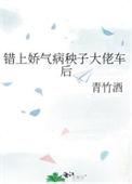 错上娇气病秧子大佬车后全文免费阅读