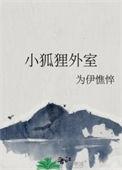 小狐狸小狐狸