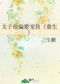 太子的偏宠by