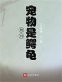 我的宠物是鳄龟作文