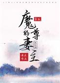 穿成了魔尊的妻主怎么办作者风月独见