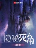 隐秘死角全文免费阅读完结