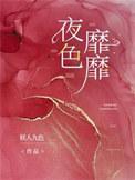 夜色的意思是什么