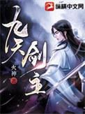 九天剑主境界