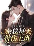 秦总每天带伤上班百度
