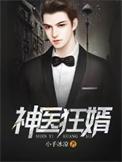 神医狂婿李不凡全集有声