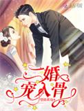 二婚宠入骨全本