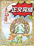 清穿福晋太凶残