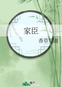 家臣 二氧化太