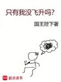 只有我没飞升吗完本TXT