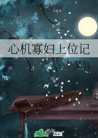 心机寡妇上位记笔趣阁